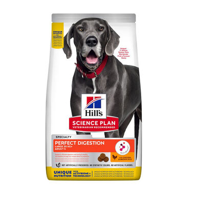 Hill’s Science Plan Perfect Digestion Adult large Pollo pienso para perros